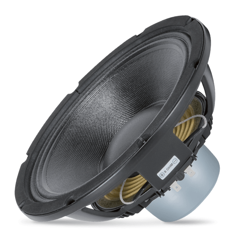 10" Power: 300W rms, 600W prog. Sensitivity: 97 dB Freq. Range 50-3500 Hz