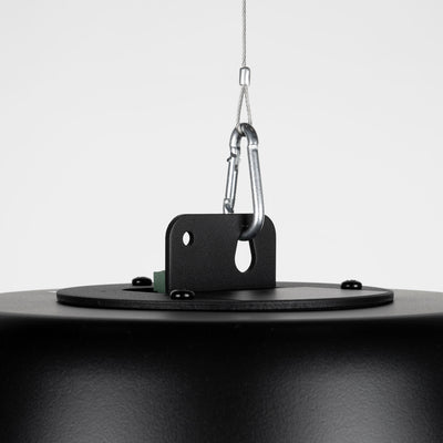 Passive 320W 6.5" 2-Way Pendant Speaker w/ Transformer - 8 Ω, 70/100V