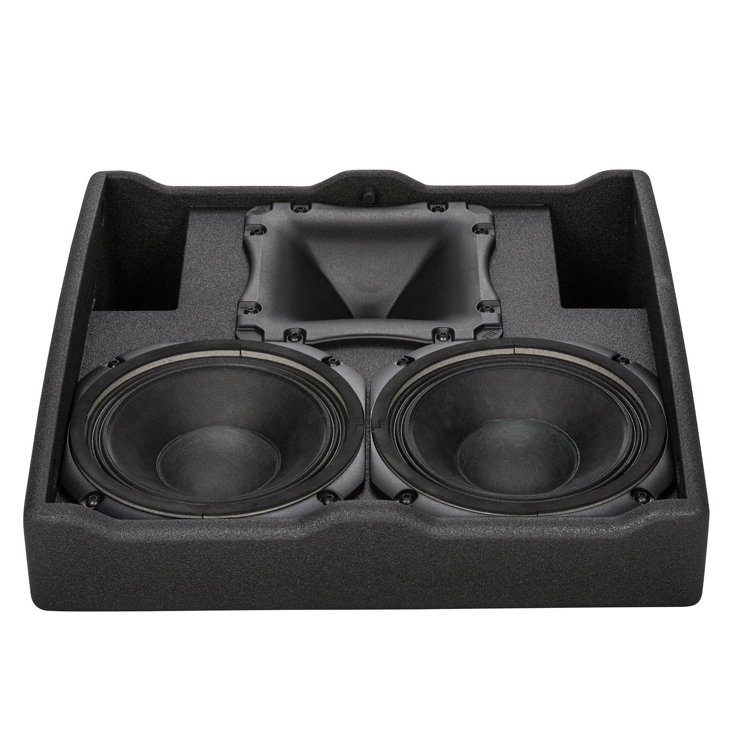 Active 2000W Dual 8" 2-Way HD Monitor (RDNET Ready)