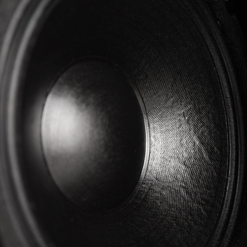 Active 2200W Dual 10" Compact 2-Way Line Array